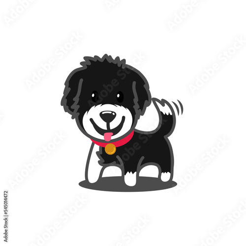 black labrador puppy
