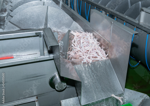 Fotografie Chicken feets load out from chiller tank after reduce temperature and cleaning