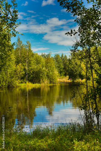 Clear autumn day at the forest lake