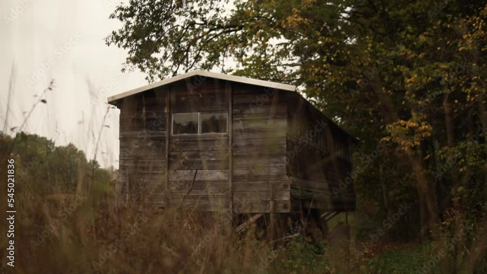 Old wooden cabin standing in the forest. Old wooden cabin standing in the forest.