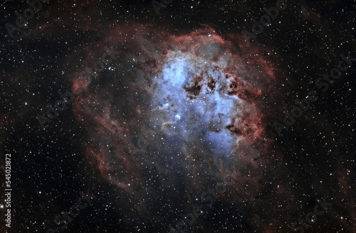 Fototapeta Naklejka Na Ścianę i Meble -  IC 410 - The Tadpoles Nebula