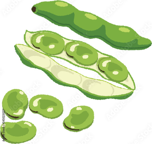 そら豆のイラスト