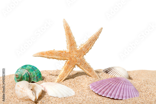 One Starfish isolated on background.
