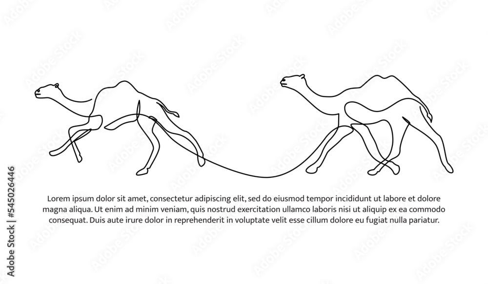 Camel line design. Simple animal silhouette decorative elements drawn with one continuous line. Vector illustration of minimalist style on white background.