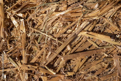 Full frame abstract texture background of golden straw bale grain stalks in natural sunlight 