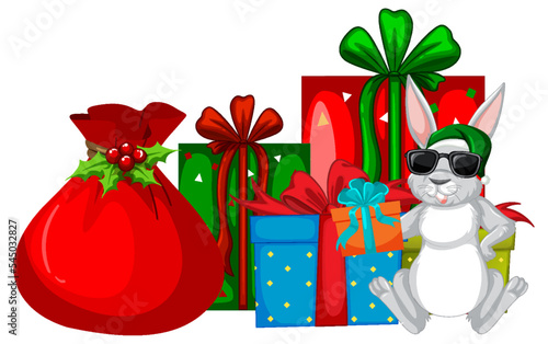 Rabbit with Chritmas gift