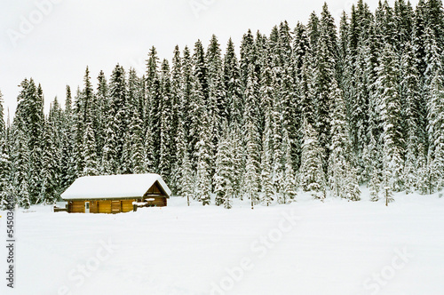 snow covered cabin in the woods 