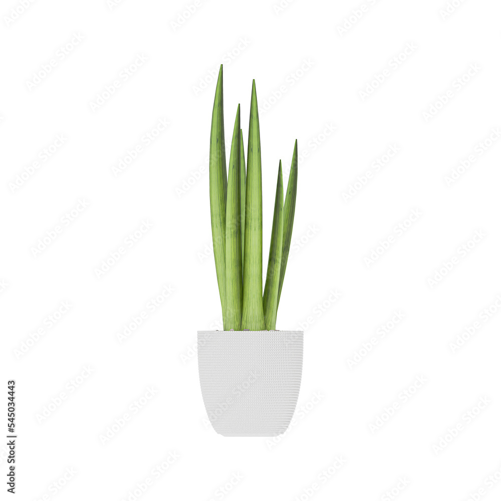 Plant, Plant PNG, Download Plant Transparent Background Plant, Plant PNG, Download Plant Transparent Background