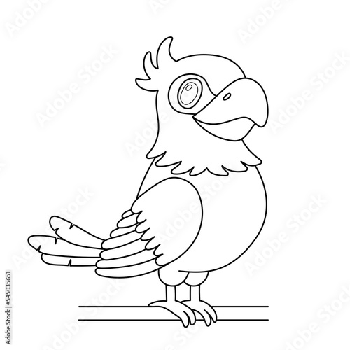Line parrot bird sitting on branch. Outline cartoon cute character isolated on white for coloring book