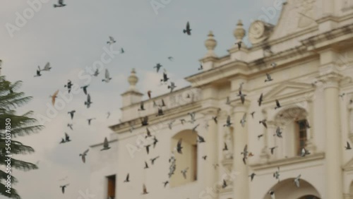 Hovering Flock Of Pigeons On The Parish Of San José In Antigua Guatemala, Guatemala. Aerial Tracking Shot