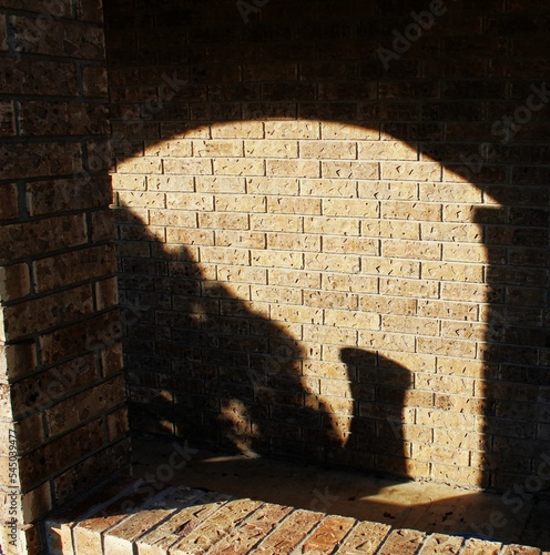 brick wall with shadow