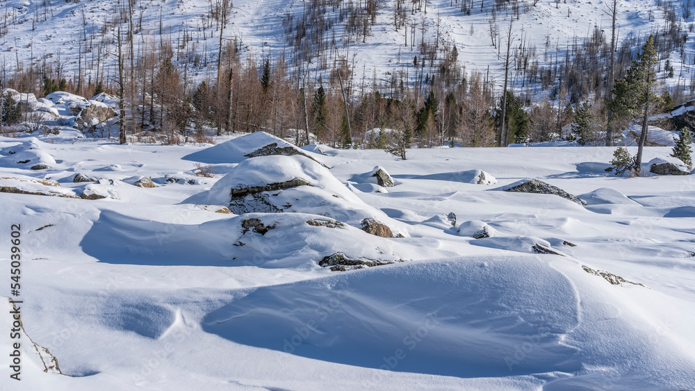 Boulders lie in snowdrifts in the valley. A layer of untouched snow on large rocks. Forest on a mountain slope. Altai Boulders lie in snowdrifts in the valley. A layer of untouched snow on large rocks. Forest on a mountain slope. Altai