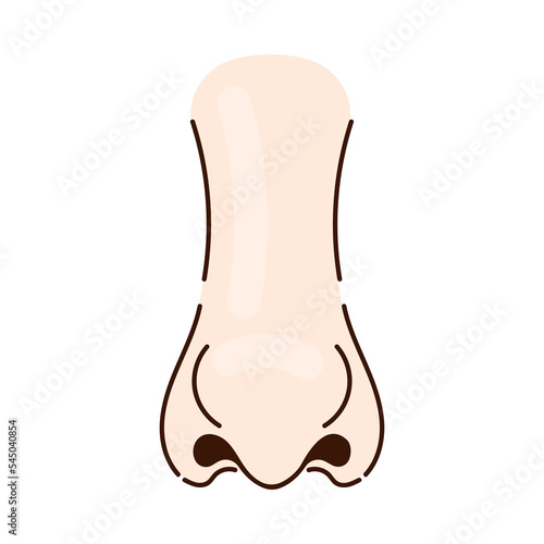 Slim nose of person with thin nostrils cartoon illustration. Nose of Caucasian person with thin tip, human face part on white background. Rhinoplasty, anatomy, surgery, breathing, medicine concept