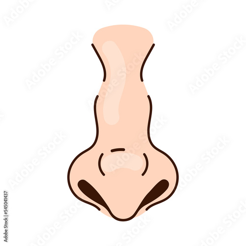 Nose of Caucasian person with pointy tip cartoon illustration. Nose of white person, part of male or female face on white background. Rhinoplasty, anatomy, surgery, breathing, medicine concept