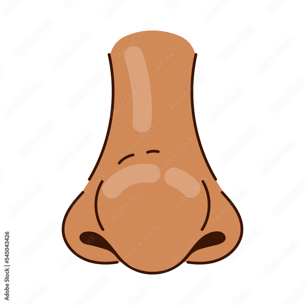 Obraz premium Bulbous nose of African American person cartoon illustration. Nose of Black person with big round tip, part of human face on white background. Rhinoplasty, anatomy, surgery, medicine concept