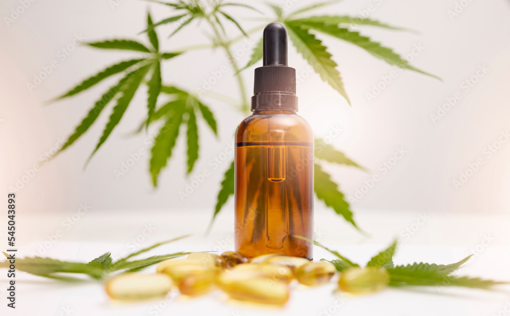 Cannabis, marijuana and product with oil of cbd for alternative medicine, natural skincare or healthcare supplement. Beauty, luxury and wellness with legal pills and weed plant for anxiety and stress Cannabis, marijuana and product with oil of cbd for alternative medicine, natural skincare or healthcare supplement. Beauty, luxury and wellness with legal pills and weed plant for anxiety and stress
