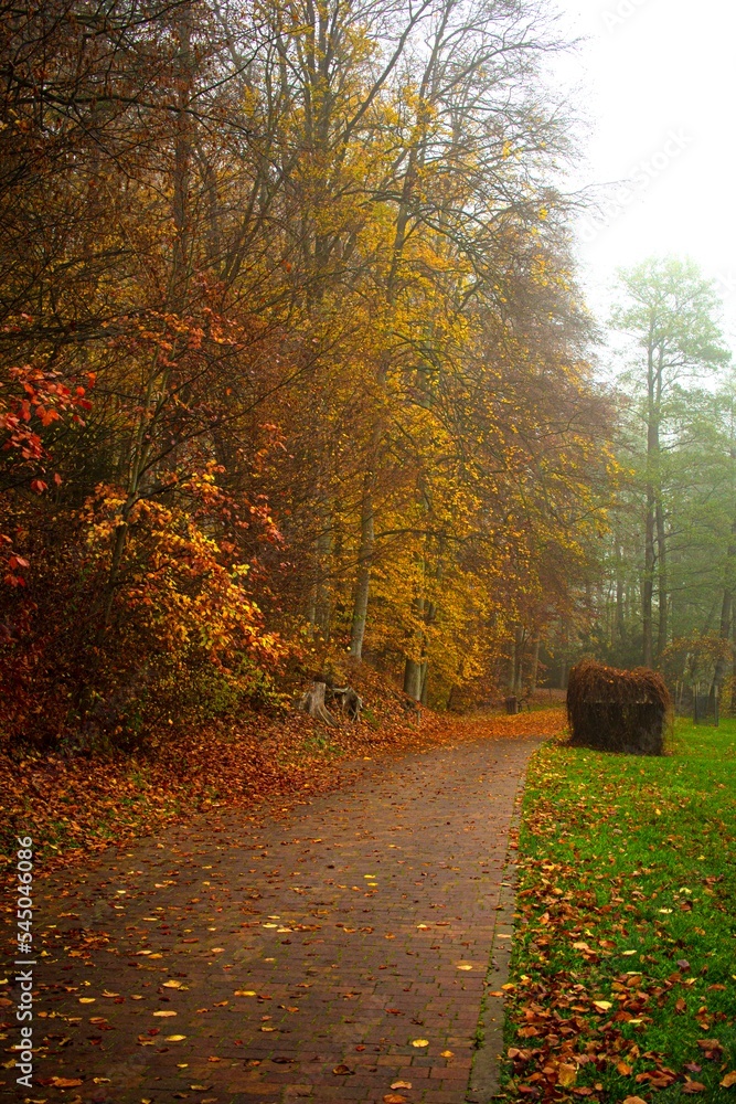 Naklejka premium autumn in the park