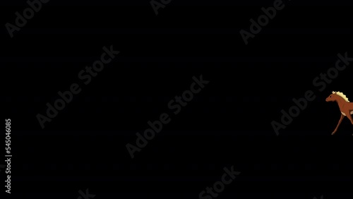 Wallpaper Mural Brown Foal gallops extreme long shot alpha matte HD Torontodigital.ca