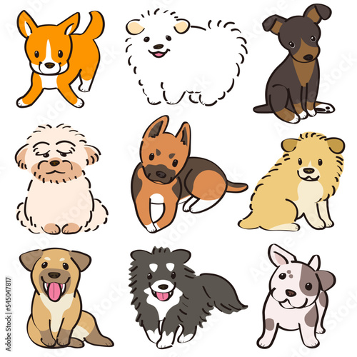 Long-haired and short-haired Mutt dog or Mixed breed dog  puppies  set