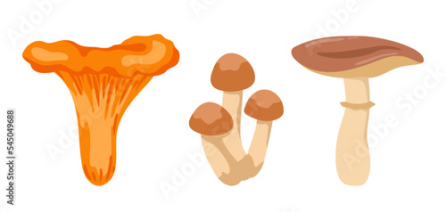 Edible forest mushrooms set. Vector illustrations of russula, chanterelle, honey fungus for cooking. Cartoon organic fall harvest of woods isolated on white. Menu, food ingredient, nature concept