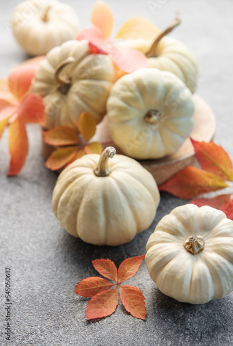 Autumn leaves and pumpkins over  grey concrete background