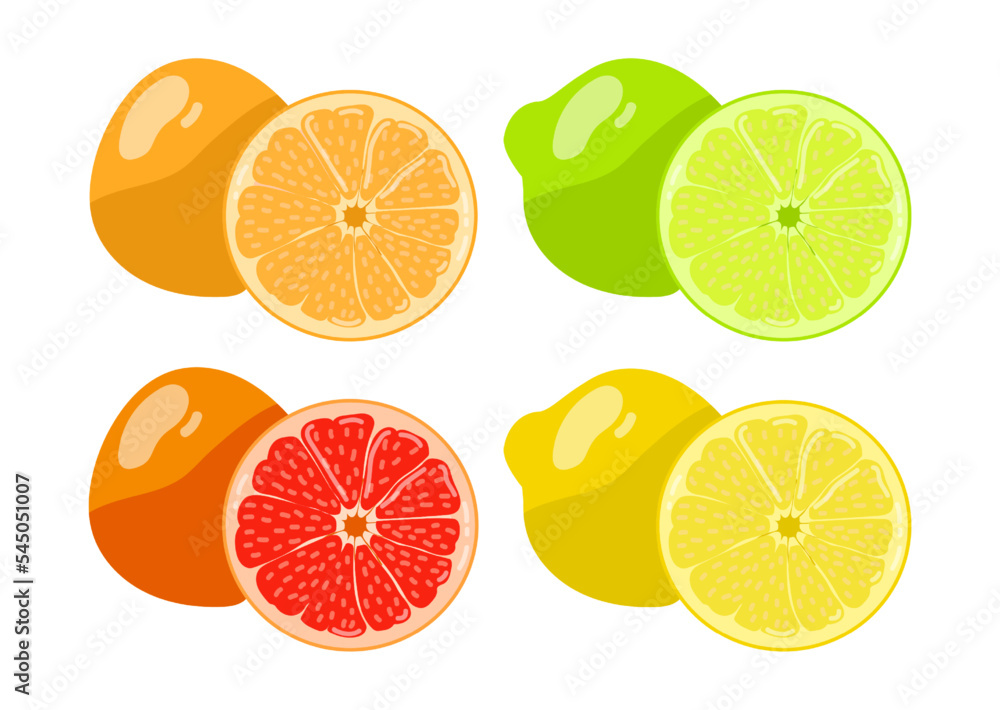 Obraz premium Citrus set. Vector illustrations of whole fruit and cut in half. Cartoon ripe fresh grapefruit, orange, lemon and lime from tropical garden isolated on white. Food ingredient, vitamin concept