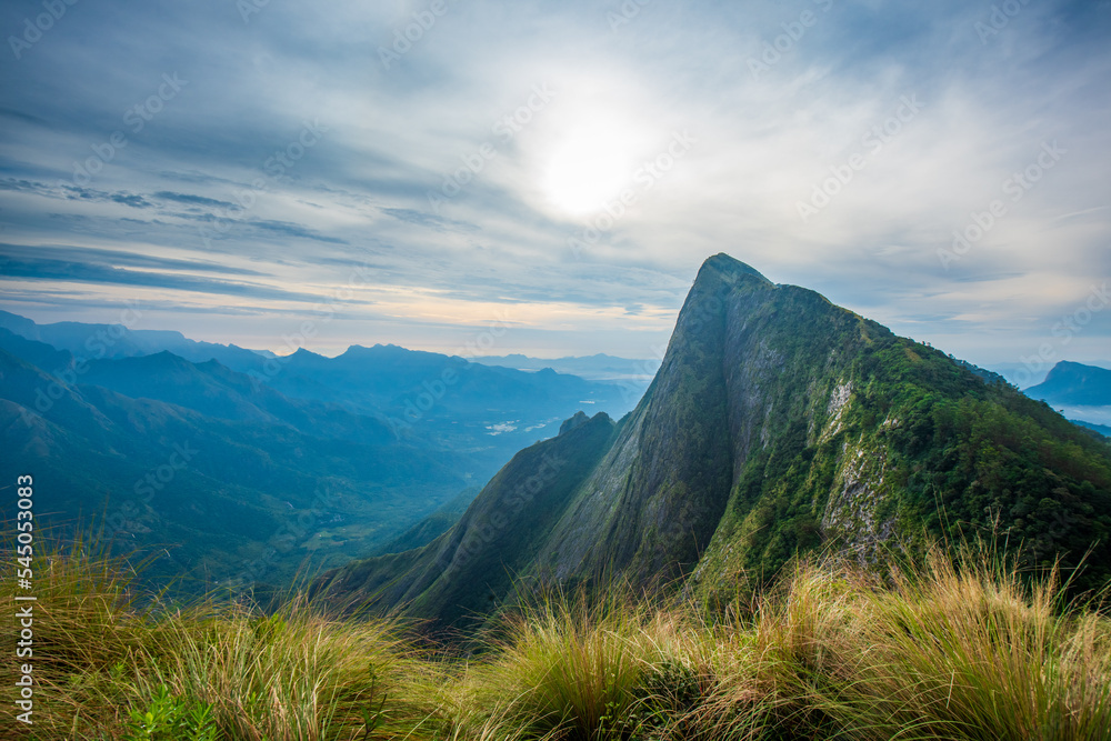 Fototapeta premium Kozhukkumalai, Where the highest tea plantation in the World.