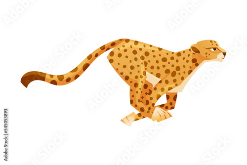 Running Cheetah as African Large Cat with Long Tail and Black Spots on Coat Vector Illustration