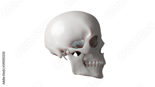 skull on a black background 3d Rendering