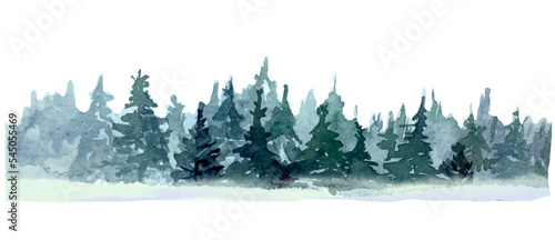 winter forest landscape © Marina
