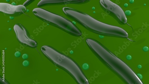 Abstract listeria monocytogenes bacterium - genus of bacteria that acts as an intracellular parasite in mammals. 3d illustration photo