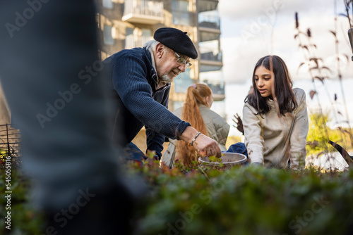 Group of neighbors gardening together in courtyard