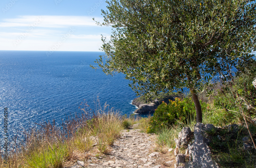 path of the Amalfi coast