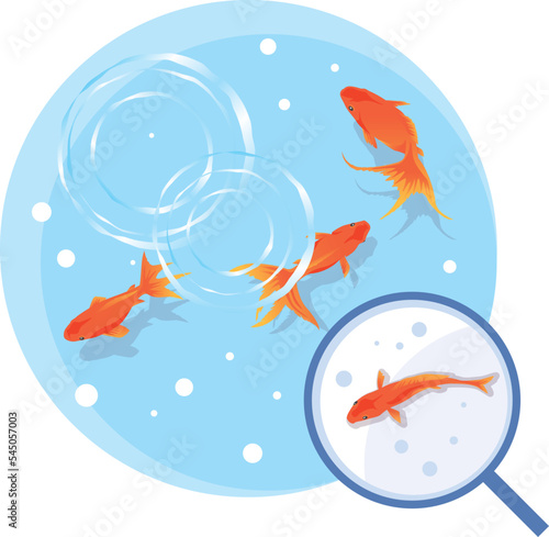 上から見た金魚すくいのイメージイラスト