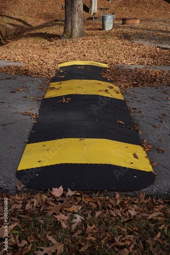 Rubber Speed Bump at Campground 