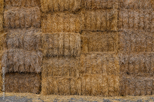 Close-up of square bales of wheat straw, stacked in large square mounds. rectangular bales of different shades of yellow and wet and dry. abstract, texture...