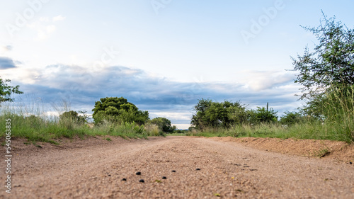 Schilderij op canvas Dirt road safari