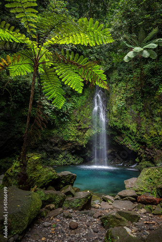 Scenic Waterfall Landscape in deep forest