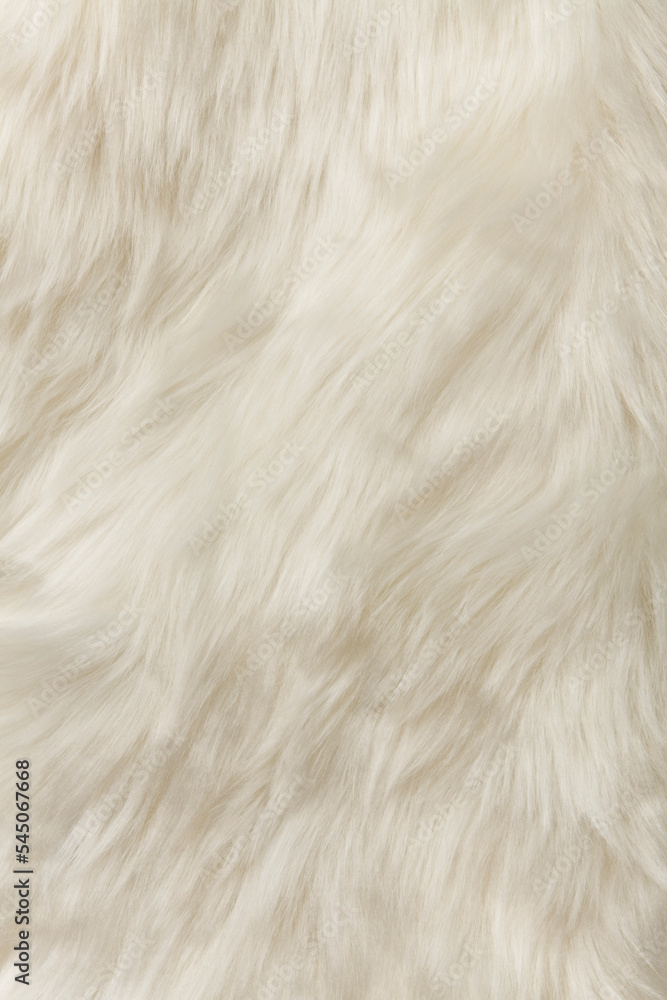 Obraz premium white fur background