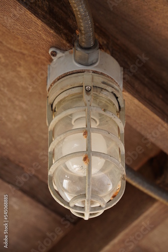 Outdoor Caged Light Bulb 