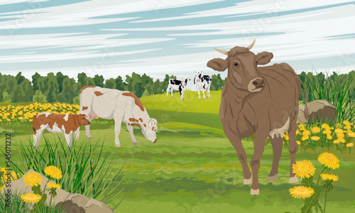Herd of cows grazing in the meadow. Summer meadow with green grass and blooming flowers. Farm and farm animals. Realistic vector landscape