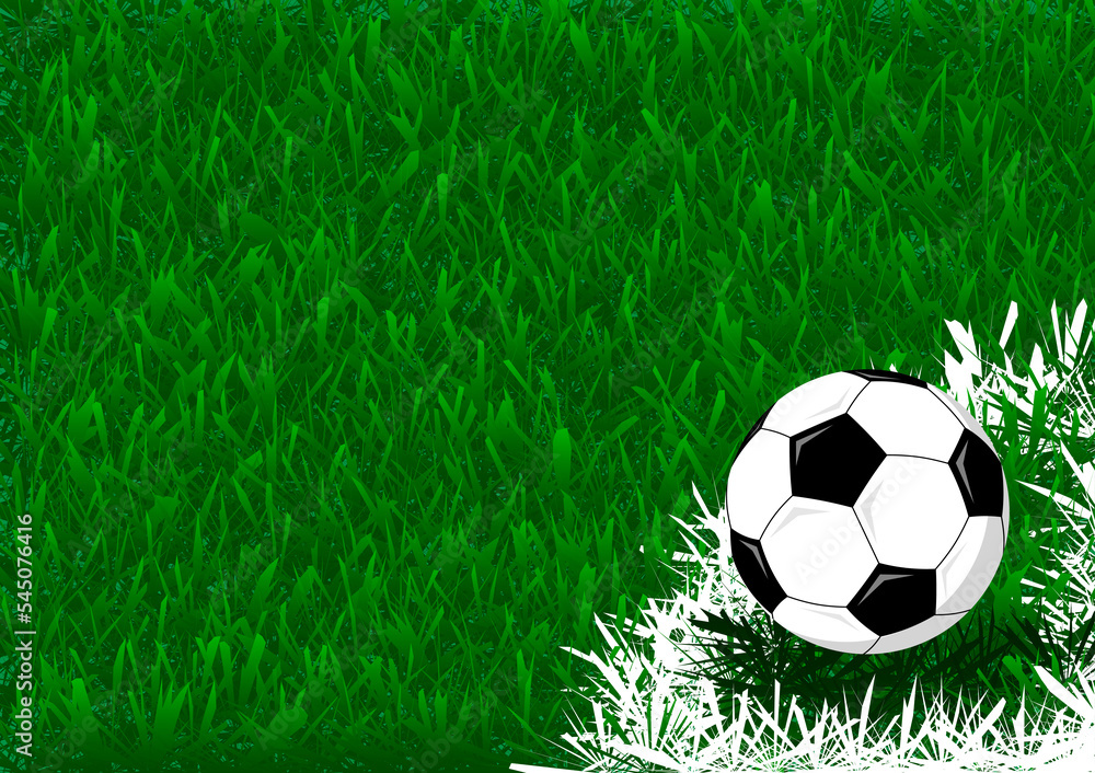 Fototapeta premium ball on football field background is so cool