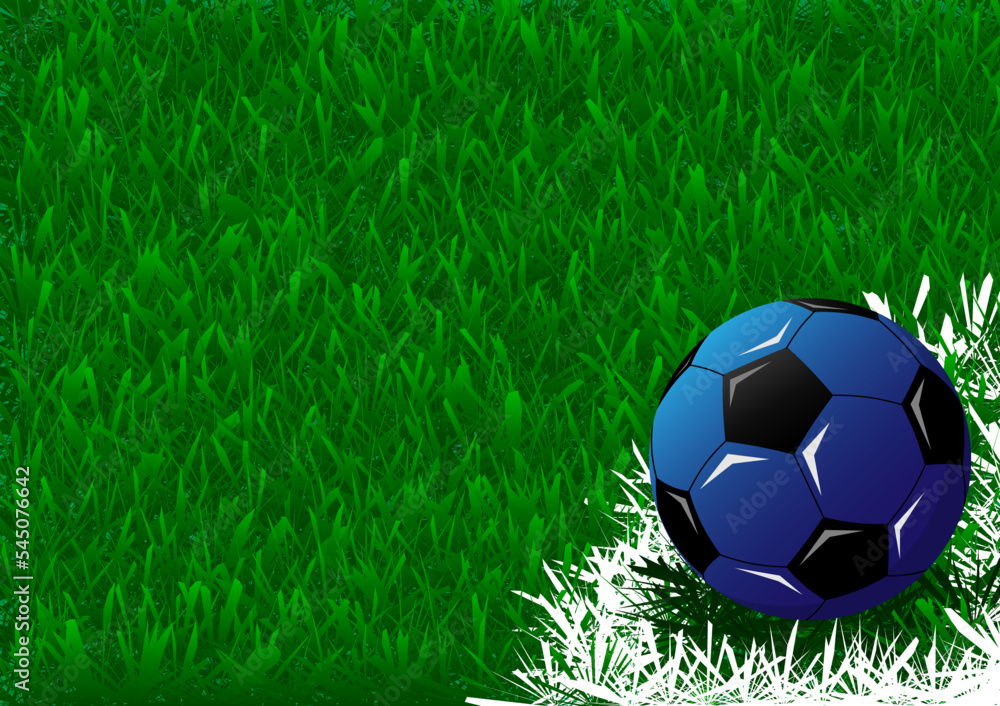 Fototapeta premium ball on football field background is so cool
