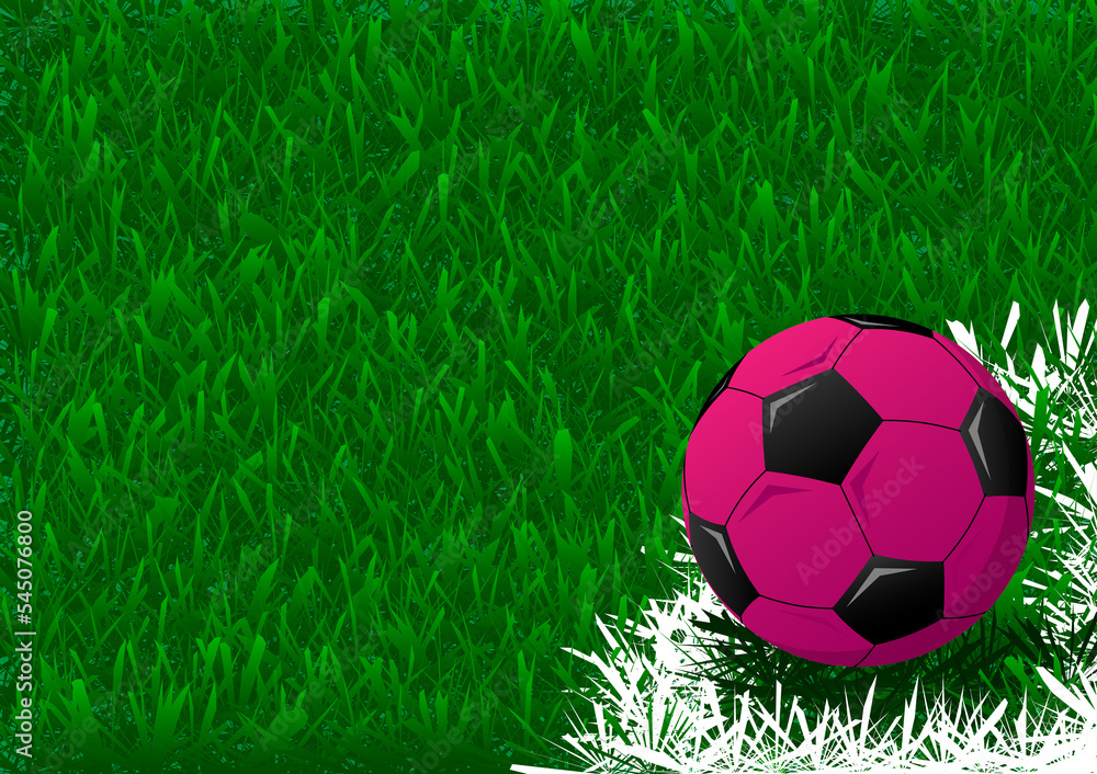 Fototapeta premium ball on football field background is so cool