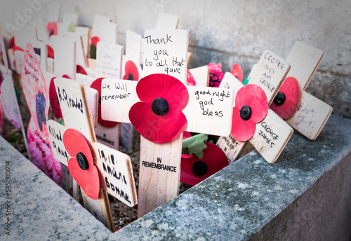 Little wooden crosses with remembrance poppies in the centre pushed into the earth around the war memorial in Witney. photo