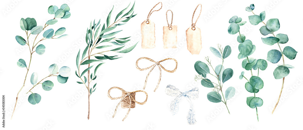 Eucalyptus branches, white lace and jute cord bow, vintage paper tags set. Willow, silver dollar, true blue, baby and seeded eucalyptus. Botanical illustration isolated on white background. Watercolor Eucalyptus branches, white lace and jute cord bow, vintage paper tags set. Willow, silver dollar, true blue, baby and seeded eucalyptus. Botanical illustration isolated on white background. Watercolor