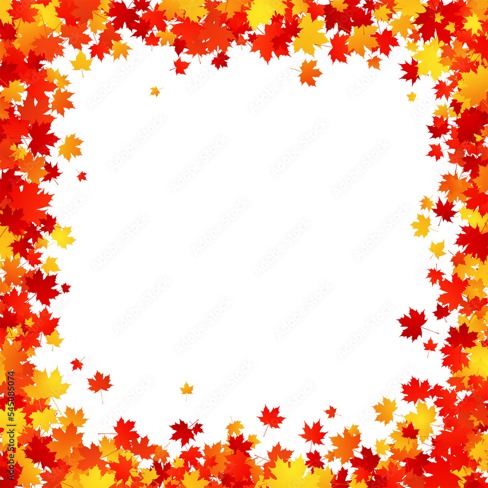 Maple leaves square border frame isolated PNG Maple leaves square border frame isolated PNG