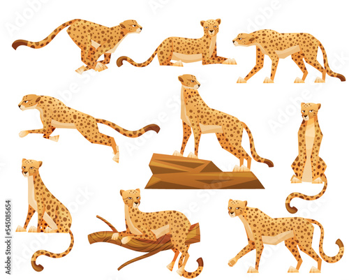 Cheetah as African Large Cat with Long Tail and Black Spots on Coat Vector Set