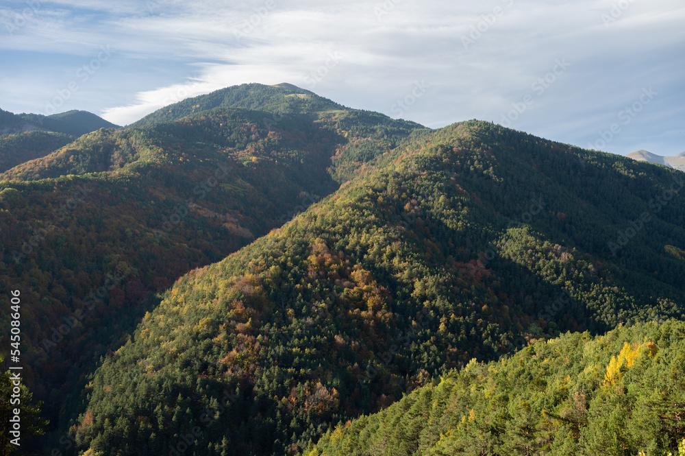 Obraz premium An autumnal valley with orange, yellow and green trees.