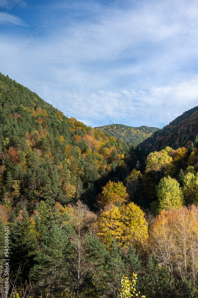 An autumnal valley with orange, yellow and green trees.